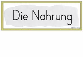 Vorschau - Poster - Tafelmaterial: Nahrung Schmetterling (Bildkarten) - Seite 2