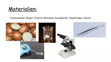 Vorschau - Arbeitsblätter - Das Mikroskop - Aufbau und Anleitung zum Mikroskopieren - Seite 3