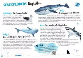 Vorschau - Arbeitsblätter - Ocean Challenge Kids Book Deutsch PART 3 - Seite 2