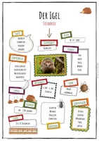 Vorschau - Arbeitsblätter - Der Igel - Steckbrief - Seite 2