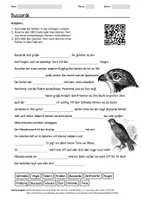 Vorschau - Arbeitsblätter - Arbeitsblatt zum Thema "Bussarde" + Onlineübung & MP3 + Infografik - Deckblatt