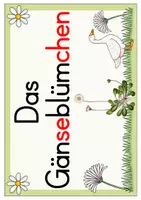 Vorschau - Bildkarten - Gänseblümchen (Themenplakat) - Seite 1