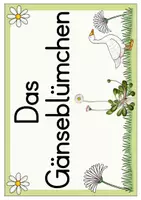 Vorschau - Bildkarten - Gänseblümchen (Themenplakat) - Seite 2
