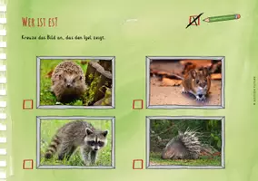 Vorschau - Stundenentwürfe - Unsere Tiere - 2er-Pack Forscherhefte - Eichhörnchen & Igel - Seite 3