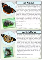 Vorschau - Unterrichtsreihen - Wissenskartei Schmetterlinge | Heimische Tagfalter - Seite 3