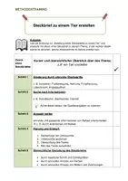 Vorschau - Arbeitsblätter - BIOLOGIE: Steckbrief mit Methodenleitfaden erstellen - Seite 3
