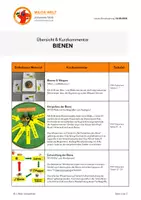 Vorschau - Arbeitsblätter - BIENEN - Materialpaket für Klasse 1 bis 4 - Seite 1