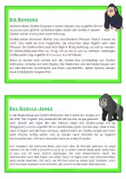 Vorschau - Arbeitsblätter - Tierkartei mit Arbeitsheft - GORILLA - Seite 2