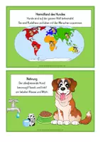 Vorschau - Stundenentwürfe - Tierkartei mit Abschreibheftchen - HUND - Seite 3