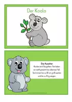 Vorschau - Stundenentwürfe - Tierkartei mit Abschreibheftchen - KOALA - Seite 1