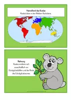 Vorschau - Stundenentwürfe - Tierkartei mit Abschreibheftchen - KOALA - Seite 3