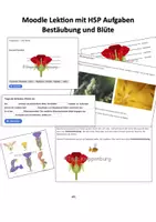 Vorschau - Interaktives Material - Moodle Datei mit H5P Aufgaben zur Bestäubung und Blüte - Deckblatt