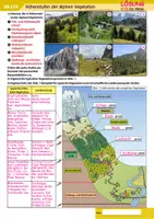 Vorschau - Arbeitsblätter - Materialpaket Landwirtschaft in Österreich - Seite 2