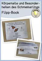 Vorschau - Arbeitsblätter - Flippbook Körperteile des Schmetterlings - Deckblatt