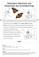 Vorschau - Arbeitsblätter - Flippbook Körperteile des Schmetterlings - Seite 2