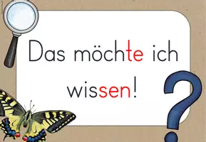 Vorschau - Poster - Reihentransparenz - Schmetterling - Seite 3