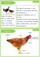 Vorschau - Merkblätter - Das Huhn: Wissenskartei mit Fotos in Silbenschrift - Seite 1