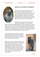 Vorschau - Text - Sachtext: europäische Sagenwesen (Märchen u. Sagen, Krakonos, Krabat) - Seite 1