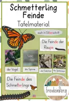 Vorschau - Poster - Tafelmaterial: Feinde Schmetterling (Bildkarten) - Deckblatt