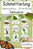 Vorschau - Poster - Tafelmaterial Schmetterling (Gesamtpaket) - Seite 1