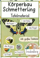 Vorschau - Poster - Tafelmaterial: Körper Schmetterling (Bildkarten) - Deckblatt