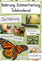 Vorschau - Poster - Tafelmaterial: Nahrung Schmetterling (Bildkarten) - Deckblatt