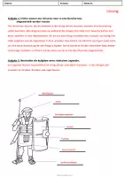 Vorschau - Arbeitsblätter - Das römische Heer (Arbeitsblätter) - Seite 3