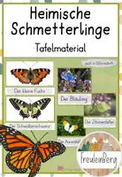 Vorschau - Poster - Tafelmaterial: Schmetterlingsarten (Bildkarten) - Deckblatt