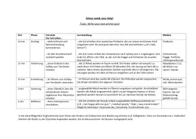 Vorschau - Stundenentwürfe - Animals in Australia - Let's write an animal quiz - Seite 2