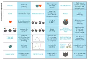 Vorschau - Spiele - Wirkungsweise von Enzymen (Abitur) - Domino Spiel - Seite 1