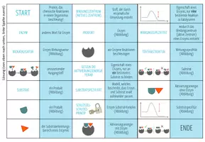 Vorschau - Spiele - Wirkungsweise von Enzymen (Abitur) - Domino Spiel - Seite 2