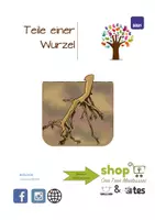 Vorschau - Stationenlernen - Teile einer Wurzel-One Tree Montessori - Seite 1