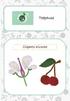 Vorschau - selbst erstellte Cliparts/Grafiken - Cliparts Kirsche Kirschblüte Aufbau (privat & kommerziell) - Deckblatt