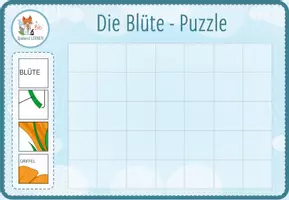 Vorschau - Spiele - Aufbau der Blüte – digitales Puzzle für Computer & iPad - Seite 1