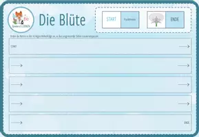 Vorschau - Spiele - Aufbau der Blüte– digitales Domino Spiel für Computer & iPad - Seite 1