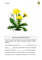 Vorschau - Arbeitsblätter - Der Löwenzahn Aufgaben Lösungen Steckbrief - Seite 2