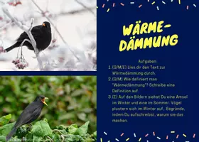 Vorschau - Stationenlernen - Biologie/BNT: Wärmedämmung - Wärmespeicherung (Stationen lernen) - Deckblatt