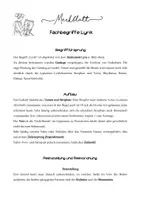Vorschau - Merkblätter - Merkblatt Fachbegriffe Lyrik - Gedichtanalyse - Metrum, Reimschema, Kadenzen, Gedichtarten etc. - Seite 3