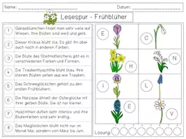 Vorschau - Arbeitsblätter - Mini Lesespur FRÜHBLÜHER - 3fach differenziert - Seite 3