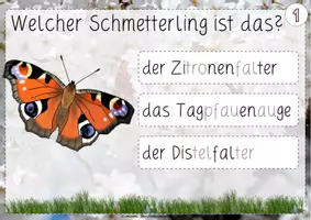 Vorschau - Präsentationen/Tafelbilder - Interaktive PDF | Quiz | Schmetterlinge | ab Klasse 1 - Seite 2