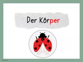 Vorschau - Arbeitsblätter - Marienkäfer: Wissenskartei und Quiz - Seite 2