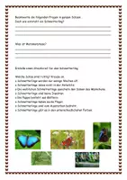 Vorschau - Stundenentwürfe - Lebenszyklus des Schmetterling Aufgaben Lösungen Steckbrief - Seite 3