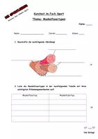 Vorschau - Test - Test - Muskelfastertypen inkl. Lösung - Seite 2