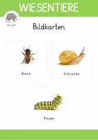 Vorschau - Bildkarten - Bildkarten: Tiere auf der Wiese + Ideen zum Materialeinsatz - Deckblatt