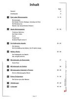 Vorschau - Arbeitsblätter - Michelangelo – Kunstwerkstatt für 8- bis 12-Jährige | Kunst Grundschule Sekundarstufe I Klasse 3–7 | Renaissance, Sixtinische Kapelle, David, Malaufgaben, Kunstgeschichte, Lösungen - Seite 2