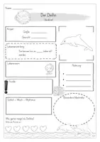 Vorschau - Arbeitsblätter - Steckbrief zum Delfin - Seite 3