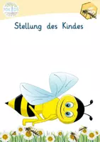 Vorschau - Bildkarten - Yoga - Der Lebenszyklus einer Biene - Seite 3