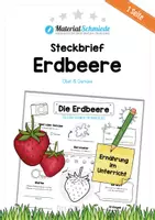 Vorschau - Arbeitsblätter - Steckbrief Erdbeere - Deckblatt