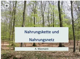 Vorschau - Arbeitsblätter - Nahrungsnetz im Wald - Seite 1