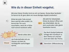 Vorschau - Arbeitsblätter - Nahrungsnetz im Wald - Seite 2
